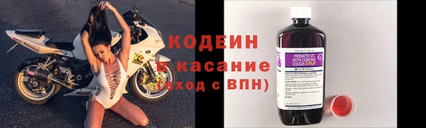 индика Каменка