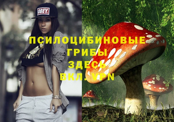 apvp Нефтегорск