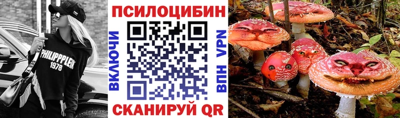 Галлюциногенные грибы Cubensis  Купино 